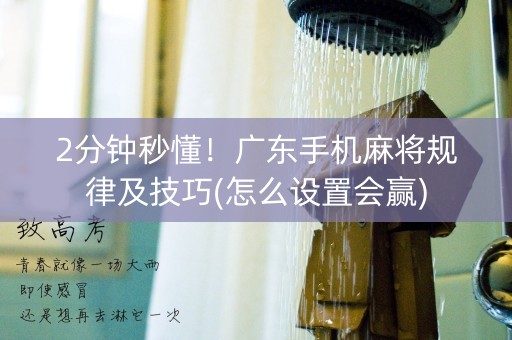 2分钟秒懂！广东手机麻将规律及技巧(怎么设置会赢)