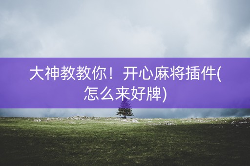 大神教教你！开心麻将插件(怎么来好牌)
