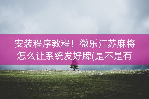 安装程序教程！微乐江苏麻将怎么让系统发好牌(是不是有猫腻)