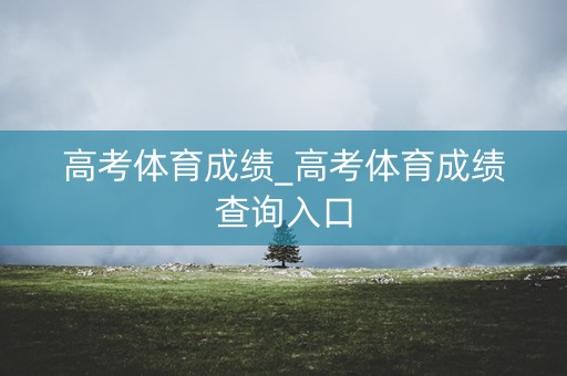 高考体育成绩_高考体育成绩查询入口