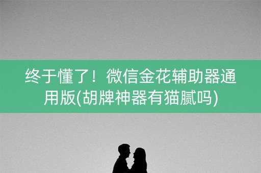 终于懂了！微信金花辅助器通用版(胡牌神器有猫腻吗)