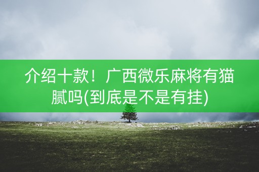介绍十款！广西微乐麻将有猫腻吗(到底是不是有挂)