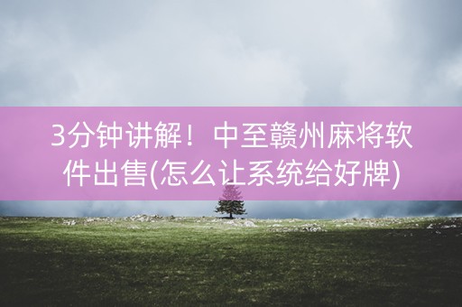 3分钟讲解！中至赣州麻将软件出售(怎么让系统给好牌)