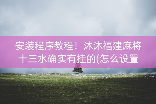 安装程序教程！沐沐福建麻将十三水确实有挂的(怎么设置能有好牌)