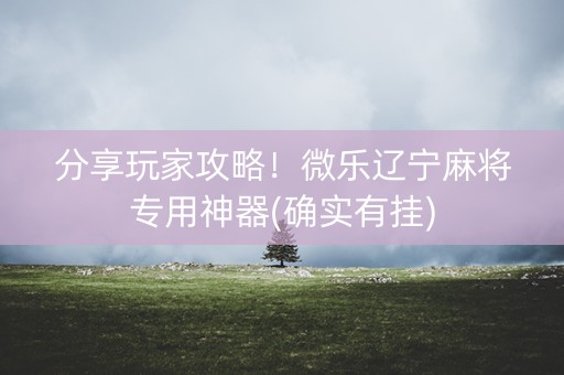 分享玩家攻略！微乐辽宁麻将专用神器(确实有挂)