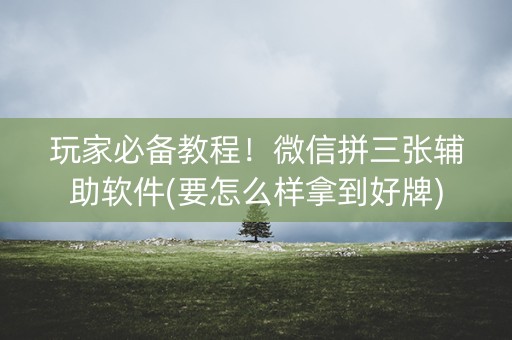 玩家必备教程！微信拼三张辅助软件(要怎么样拿到好牌)