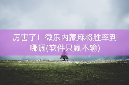 厉害了！微乐内蒙麻将胜率到哪调(软件只赢不输)