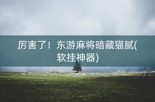 厉害了！东游麻将暗藏猫腻(软挂神器)