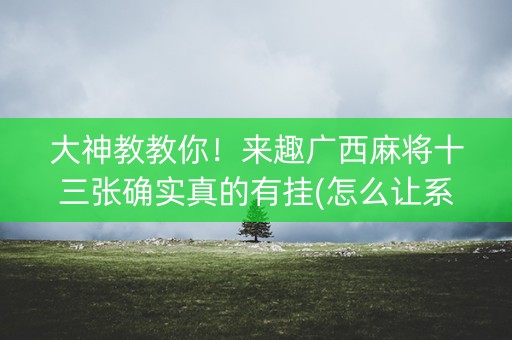 大神教教你！来趣广西麻将十三张确实真的有挂(怎么让系统给好牌)