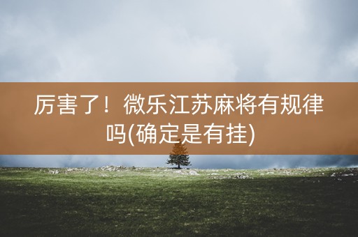 厉害了！微乐江苏麻将有规律吗(确定是有挂)