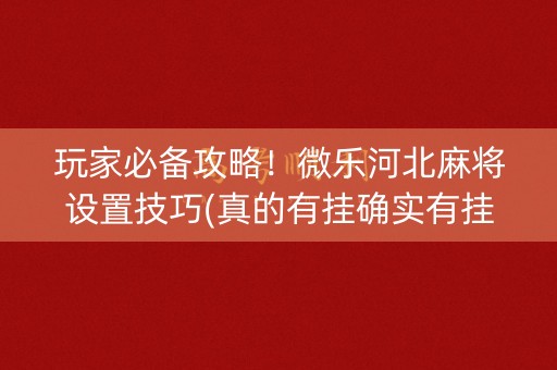 玩家必备攻略！微乐河北麻将设置技巧(真的有挂确实有挂)