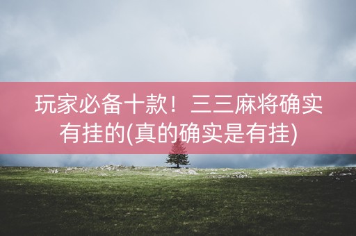 玩家必备十款！三三麻将确实有挂的(真的确实是有挂)