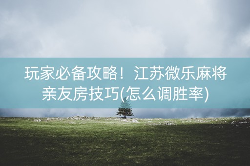 玩家必备攻略！江苏微乐麻将亲友房技巧(怎么调胜率)