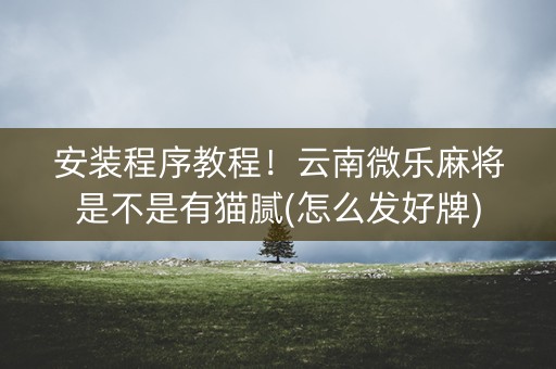 安装程序教程！云南微乐麻将是不是有猫腻(怎么发好牌)