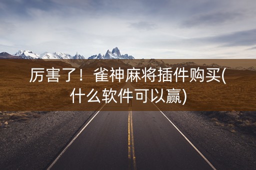 厉害了！雀神麻将插件购买(什么软件可以赢)