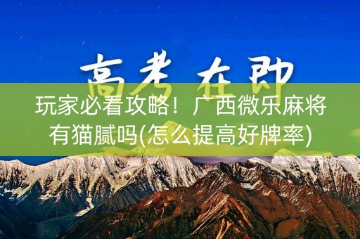 玩家必看攻略！广西微乐麻将有猫腻吗(怎么提高好牌率)