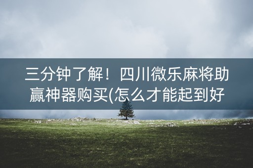 三分钟了解！四川微乐麻将助赢神器购买(怎么才能起到好牌)
