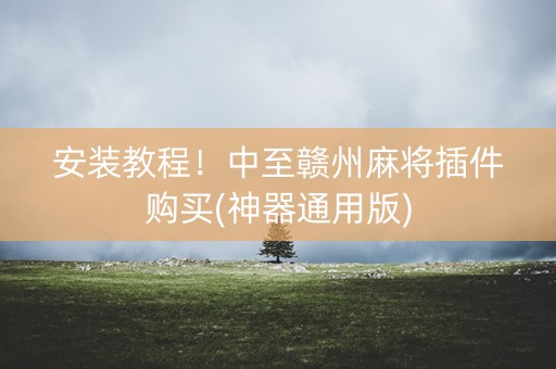 安装教程！中至赣州麻将插件购买(神器通用版)