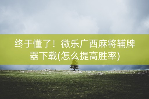 终于懂了！微乐广西麻将辅牌器下载(怎么提高胜率)