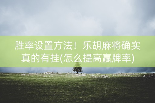 胜率设置方法！乐胡麻将确实真的有挂(怎么提高赢牌率)