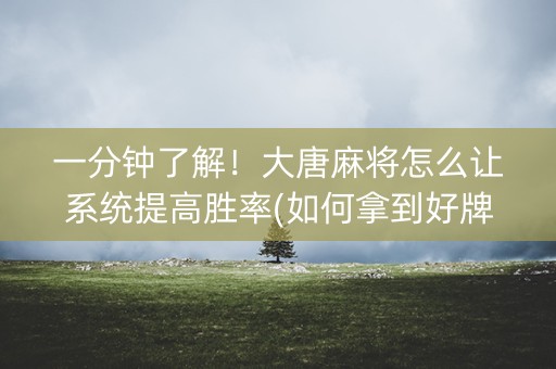 一分钟了解！大唐麻将怎么让系统提高胜率(如何拿到好牌)