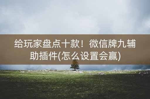 给玩家盘点十款！微信牌九辅助插件(怎么设置会赢)