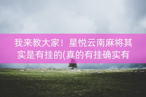 我来教大家！星悦云南麻将其实是有挂的(真的有挂确实有挂)