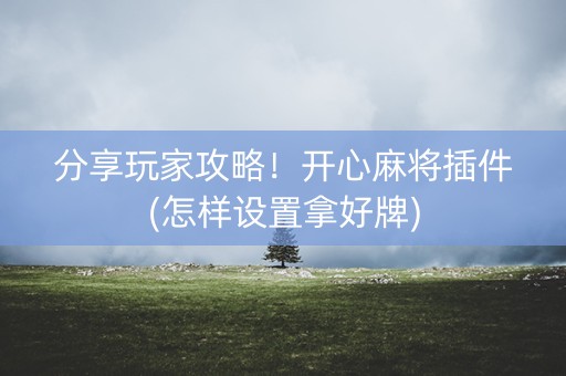 分享玩家攻略！开心麻将插件(怎样设置拿好牌)