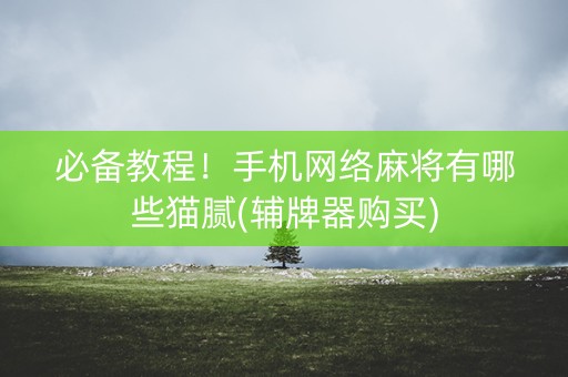 必备教程！手机网络麻将有哪些猫腻(辅牌器购买)