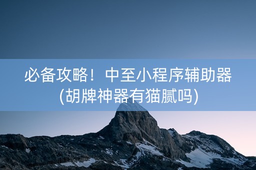 必备攻略！中至小程序辅助器(胡牌神器有猫腻吗)