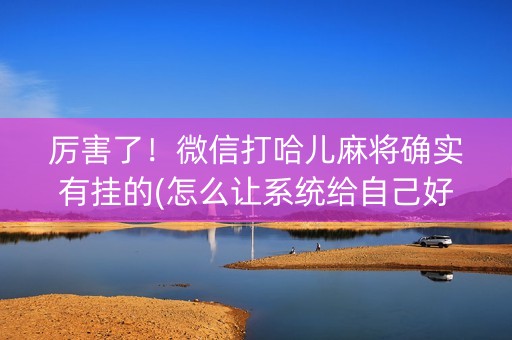 厉害了！微信打哈儿麻将确实有挂的(怎么让系统给自己好牌)