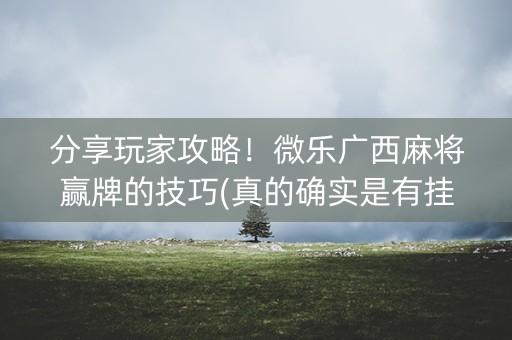 分享玩家攻略！微乐广西麻将赢牌的技巧(真的确实是有挂)