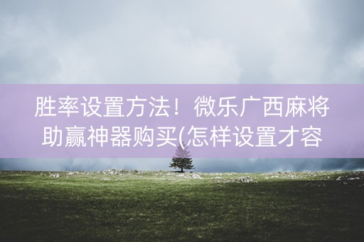 胜率设置方法！微乐广西麻将助赢神器购买(怎样设置才容易赢)