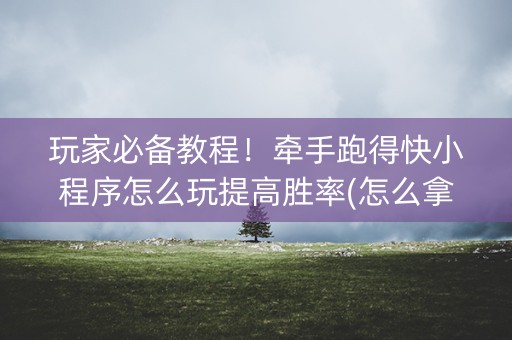 玩家必备教程！牵手跑得快小程序怎么玩提高胜率(怎么拿好牌)