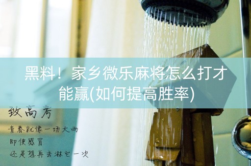 黑料！家乡微乐麻将怎么打才能赢(如何提高胜率)