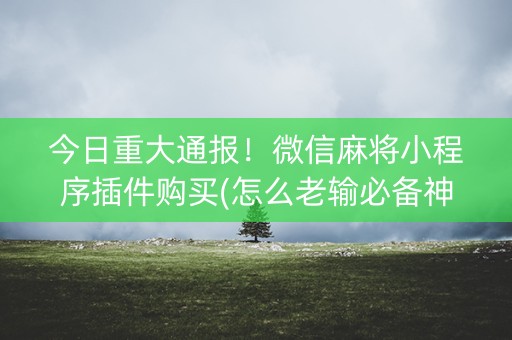 今日重大通报！微信麻将小程序插件购买(怎么老输必备神器)