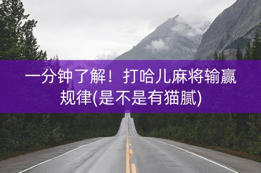 一分钟了解！打哈儿麻将输赢规律(是不是有猫腻)