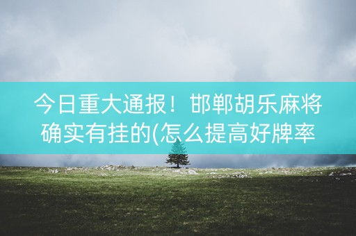 今日重大通报！邯郸胡乐麻将确实有挂的(怎么提高好牌率)