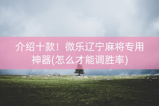 介绍十款！微乐辽宁麻将专用神器(怎么才能调胜率)