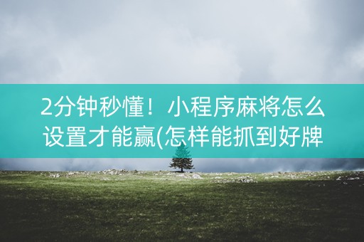 2分钟秒懂！小程序麻将怎么设置才能赢(怎样能抓到好牌)