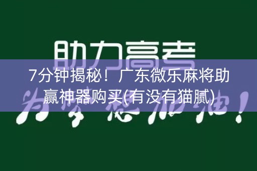 7分钟揭秘！广东微乐麻将助赢神器购买(有没有猫腻)