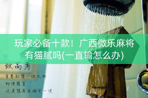 玩家必备十款！广西微乐麻将有猫腻吗(一直输怎么办)