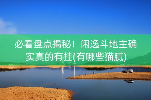 必看盘点揭秘！闲逸斗地主确实真的有挂(有哪些猫腻)