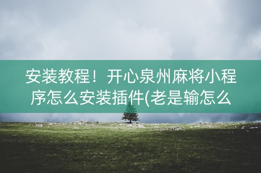 安装教程！开心泉州麻将小程序怎么安装插件(老是输怎么回事)
