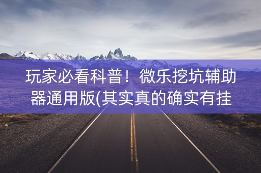 玩家必看科普！微乐挖坑辅助器通用版(其实真的确实有挂)