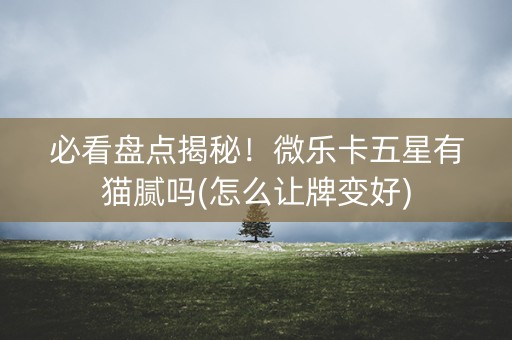 必看盘点揭秘！微乐卡五星有猫腻吗(怎么让牌变好)