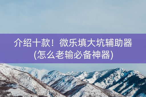 介绍十款！微乐填大坑辅助器(怎么老输必备神器)