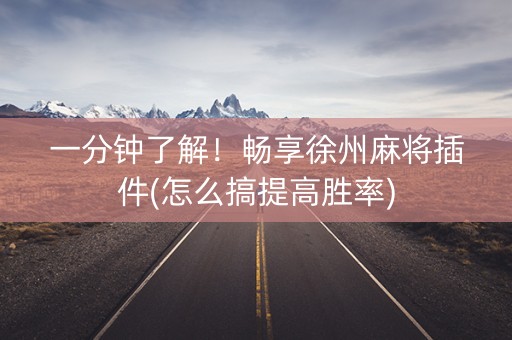 一分钟了解！畅享徐州麻将插件(怎么搞提高胜率)