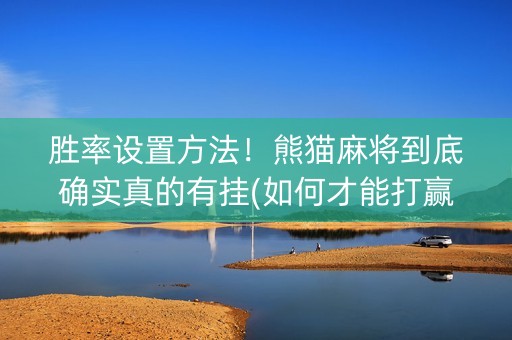 胜率设置方法！熊猫麻将到底确实真的有挂(如何才能打赢)
