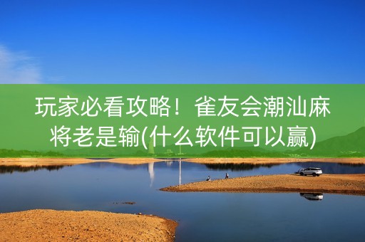 玩家必看攻略！雀友会潮汕麻将老是输(什么软件可以赢)